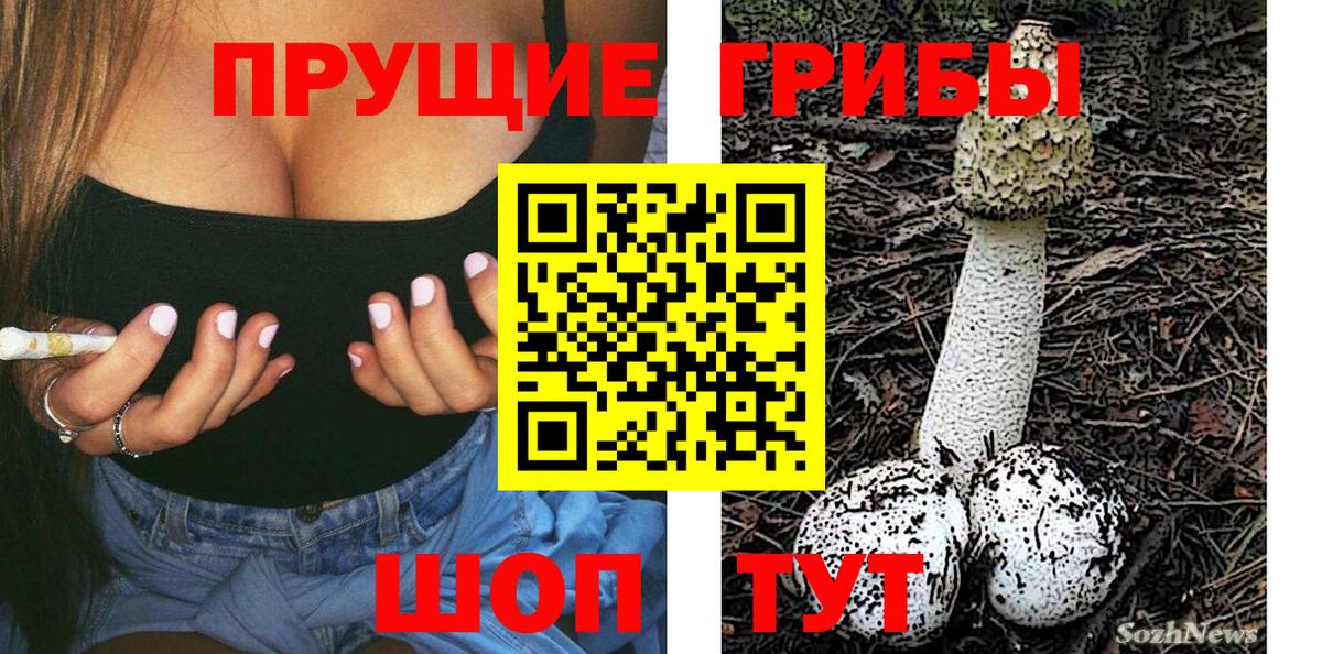 Тула  наркотики  Вход с VPN  Галлюциногенные грибы прущие грибы 
