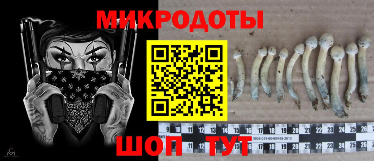 Галлюциногенные грибы Cubensis Тула